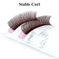 Eyelash Extension